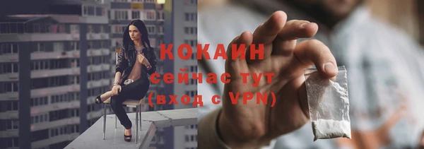 не бодяженный Бородино