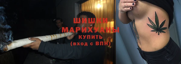 не бодяженный Бородино