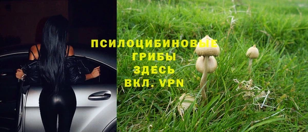 твердый Бронницы