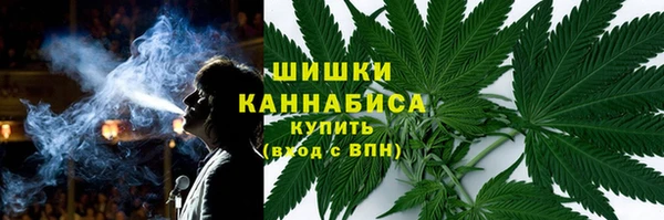 не бодяженный Бородино