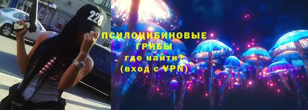 не бодяженный Бородино