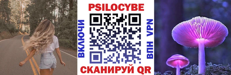 Псилоцибиновые грибы прущие грибы  Псков 